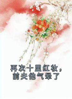再次十里红妆，前夫他气晕了苏婉谢怀山林长风小说完整在线阅读-暗夜阅读网