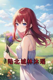 陆北城林沐瑶(佚名)最佳创作小说全文在线阅读-暗夜阅读网