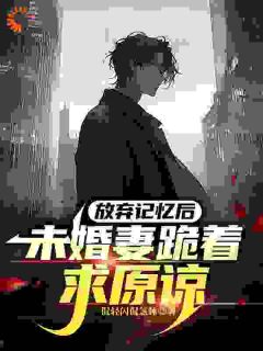 剥离情感，你我用不相爱陆琛宋之柔小说全文章节阅读-暗夜阅读网