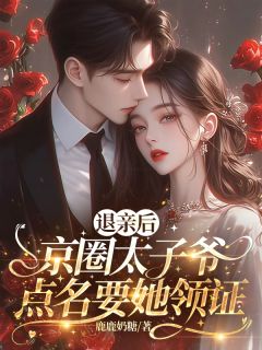 退亲后，京圈太子爷点名要她领证虞菀傅峥年全章节在线阅读-暗夜阅读网