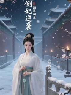 侧妃逆袭，翻案朝堂沈玉瑶白临苏婉小说全文章节阅读-暗夜阅读网