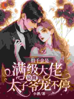[抖音]小说沈清陆厉炎假千金是满级大佬，京圈太子爷宠不停