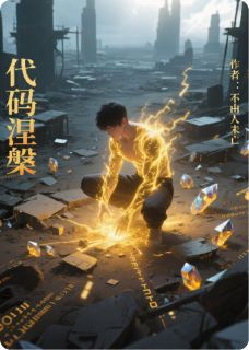 代码涅槃by林辉王天明在线阅读