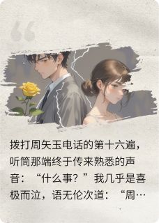 主角周矢玉李顷塬小说完整版最新章节-跟前男友复合后免费阅读全文-暗夜阅读网