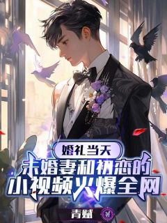免费试读主角宋辞白薇小说
