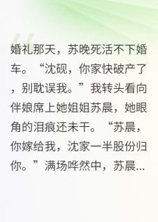 小说推荐新娘不下车，我转脸娶了她姐姐完结版全章节阅读-暗夜阅读网