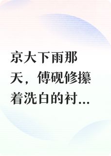 苏宴棠傅砚修诺芝宇小说全章节最新阅读