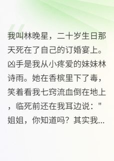 苏景辞林诗雨晚星全章节阅读-重生后我不当假千金了全文分享阅读