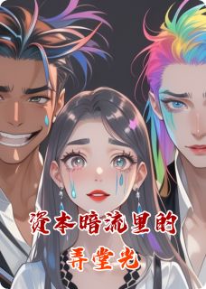 精品小说资本暗流里的弄堂光全文目录畅读