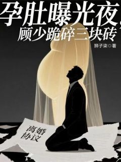 孕肚曝光夜，顾少跪碎三块砖by顾承砚苏晚林薇在线阅读