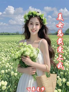 许天苏婉许文小说章节目录阅读-美女总裁爱上我了在哪免费看