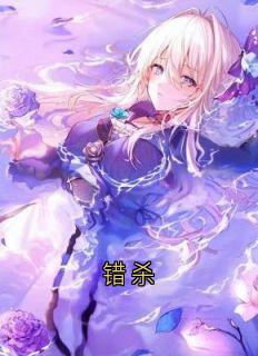 错杀(林晚江辰)全文章节在线阅读-暗夜阅读网
