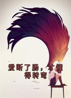 爱断了肠，才懂得转弯全集小说_傅云锡方梨完结版阅读