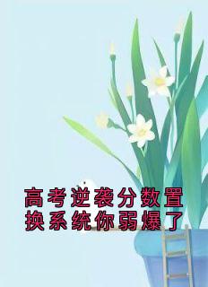 江青月林晚晚全文最新章节正版小说免费阅读
