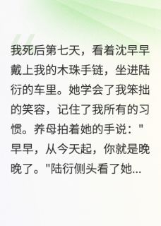 主人公陆衍沈早早沈晚晚小说爱分早晚在线全文阅读