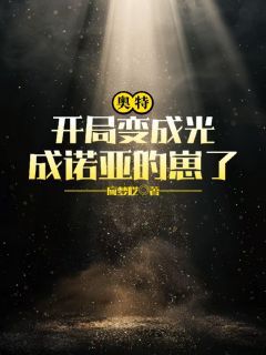 奥特：开局变成光，成诺亚的崽了免费阅读全文，主角光宇比阿舟小说