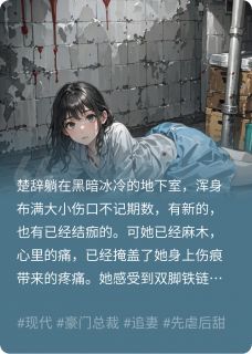 冷风吟霜写的小说错把爱人当仇人楚辞沈晏城全文阅读-暗夜阅读网