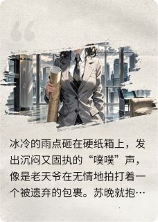 苏晚陆沉小说章节目录阅读-造价女王在哪免费看