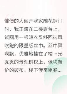 破产千金，被疯批大佬捡回家沈宴迟林疏影全章节完结版在线阅读