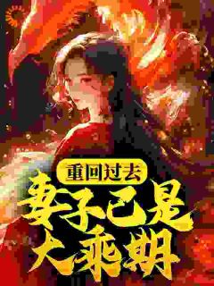 重回过去，妻子已是大乘期？小说(连载文)-萧逸枫柳寒烟无广告阅读
