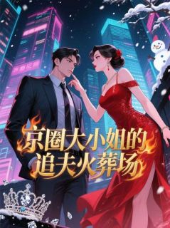 京圈大小姐的追夫火葬场(苏念露顾瀚玥陆钦)最新章节