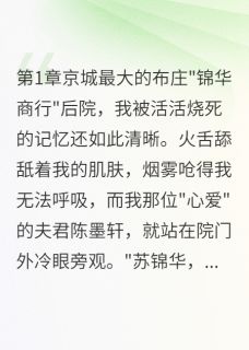 （全本）我的丫鬟冒充我主角陈墨轩婉儿全文目录畅读