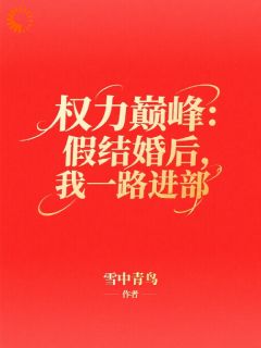 抖音小说权力巅峰：假结婚后，我一路进部主角李云涛王为民全文小说免费阅读-暗夜阅读网