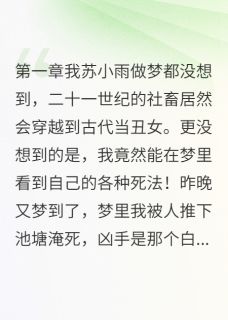 慕容寒柳如烟我的梦境拯救了王朝全章节免费阅读-暗夜阅读网