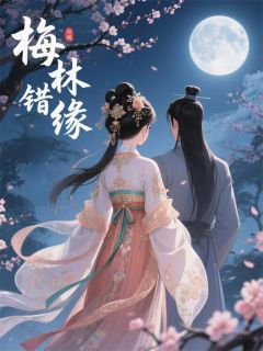 快手热文梅林错缘陆江宸段婉汐苏安轩小说推荐