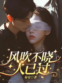 风吹不晓人已过小说免费阅读 陆聿珩沈梨初大结局完整版
