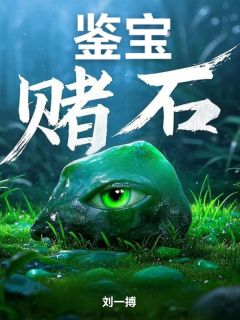 鉴宝赌石小说好看吗 李伟张辉煌最后结局如何