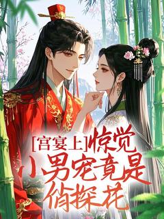 宫宴上，惊觉小男宠竟是俏探花！小说(完结)-陆明昭崔书衍无删减阅读