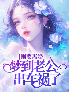 精品小说刚要离婚，梦到老公出车祸了全文目录畅读-暗夜阅读网