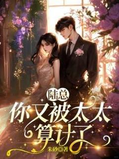 陆总，你又被太太算计了(全章节)-康荏苒陆士安在线阅读
