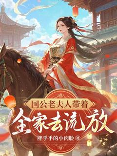 沈静淑季忠孝主角小说国公老夫人带着全家去流放抖音文免费阅读全文