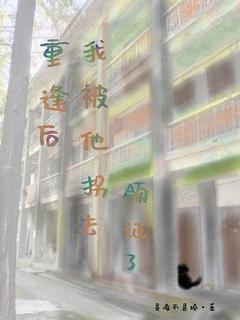 重逢后，我被他拐去领证了顾锦江苑全章节完结版在线阅读