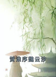 贺淮序魏云汐(全章节)-魏云汐贺淮序在线阅读
