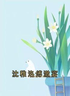 傅澈宴沈稚洛全文最新章节正版小说免费阅读
