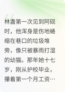 抖音爆款小说浮尘里的灯火林盏顾砚之免费txt全文阅读