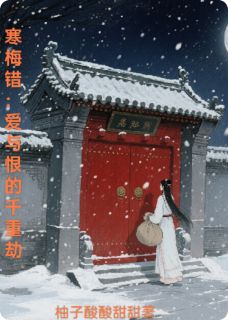 无弹窗小说寒梅错：爱与恨的千重劫 作者柚子酸酸甜甜-暗夜阅读网