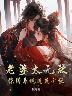 主人公宁凡苏婉婉苏玄璎小说老婆太无敌，惊得系统连连升级在线全文阅读