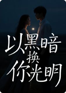 好书推荐以黑暗换你光明林晚顾淮全文在线阅读