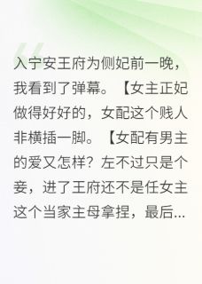 宁安王林知微入宁安王府为侧妃前一晚全章节免费阅读