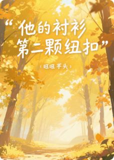 他的衬衫第二颗纽扣小说的书名是什么-暗夜阅读网