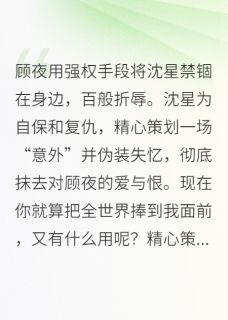抖音爆款失忆后，霸总他跪着求我回头完整小说（全文阅读）