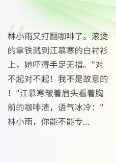 我的两个男神都想娶我by爱晒太阳的小番茄小说完结版在线阅读