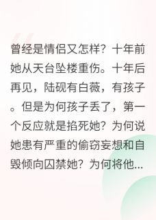 最新小说暗巷未亡人主角苏宛陆砚白薇全文在线阅读-暗夜阅读网