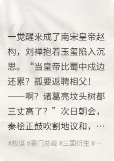 穿越之陛下今天也不想上班完整版-刘禅岳飞秦桧在线全文阅读