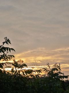 季槐苑黎主角抖音小说变心容易真心难在线阅读