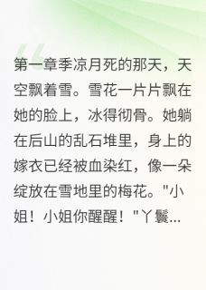 季凉月季如烟谢临渊小说雪夜葬红妆，重生烬中花免费阅读